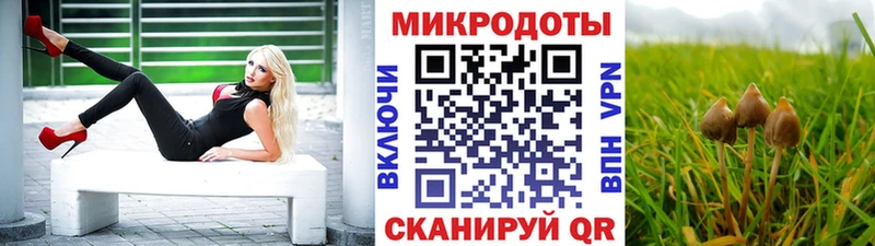 Галлюциногенные грибы GOLDEN TEACHER  Купить  Петушки 